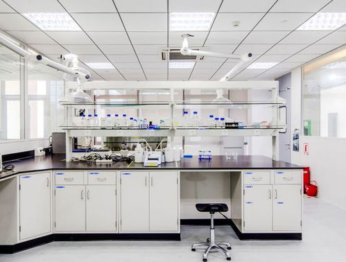 引領(lǐng)綠色未來(lái) 以開拓創(chuàng)新與專業(yè)服務(wù)，鑄就質(zhì)量至上的環(huán)保咨詢新標(biāo)桿