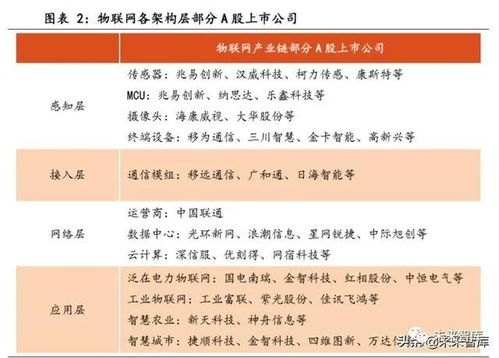 物聯(lián)網(wǎng)行業(yè)專題報(bào)告 聚焦通信模組與行業(yè)應(yīng)用服務(wù)，把握萬物互聯(lián)新機(jī)遇